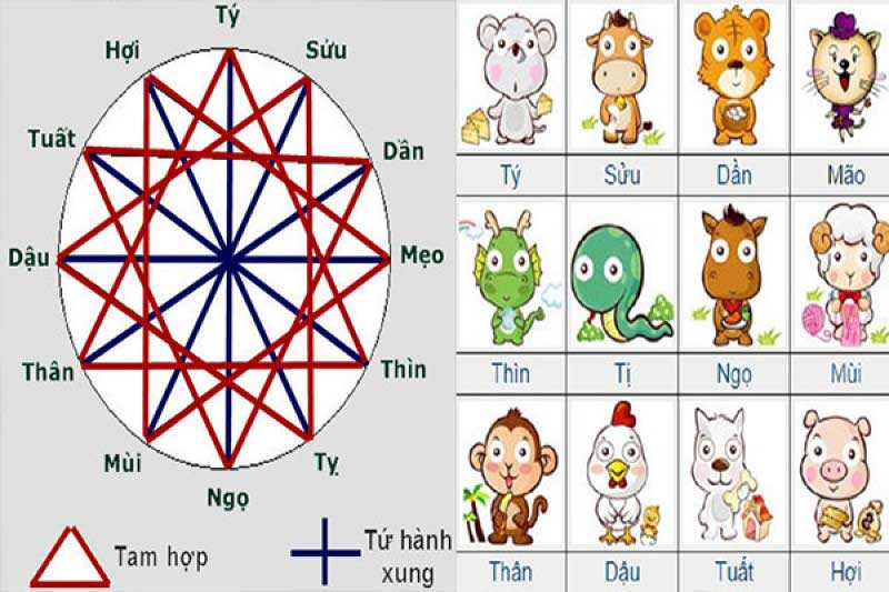 Hạn Tam tai thường tính theo con giáp, dựa vào nhóm tuổi tam hợp để tính thời gian tam tai (Ảnh minh hoạ) 