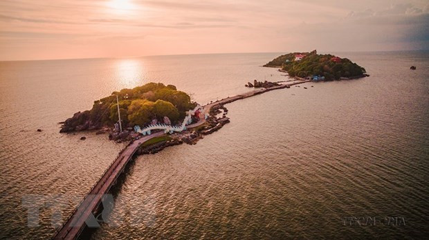 Mangrove forests - a destination worth exploring in Ca Mau hinh anh 1