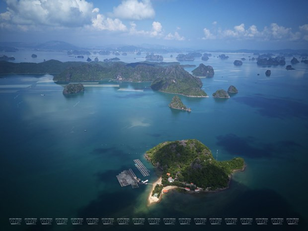 Banh Sua island offers ideal place for nature explorers hinh anh 2