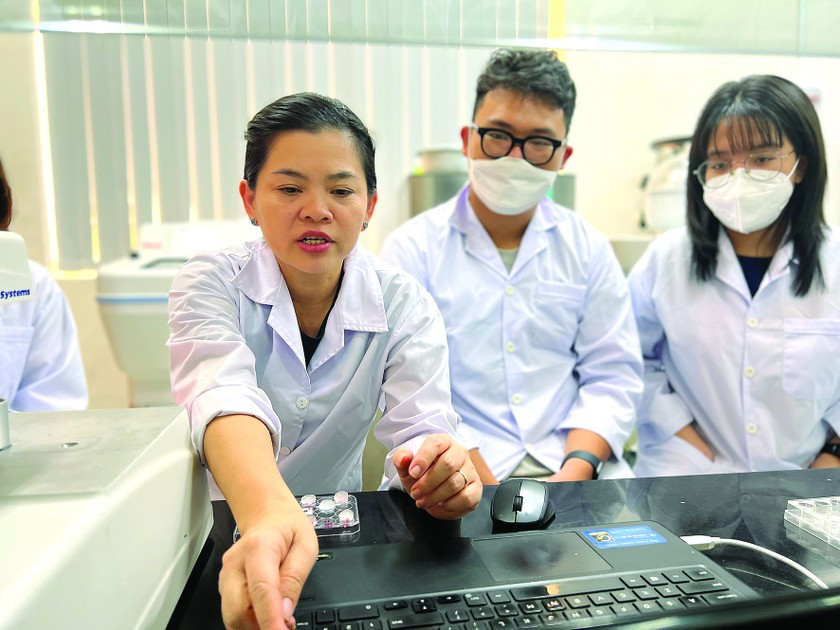 More Vietnamese scientists returning to home country ảnh 1