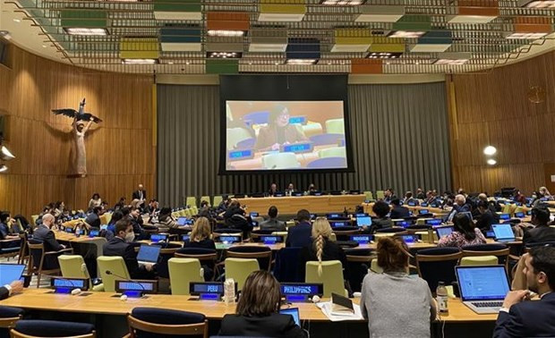 Vietnam supports expansion of UN Security Council hinh anh 1