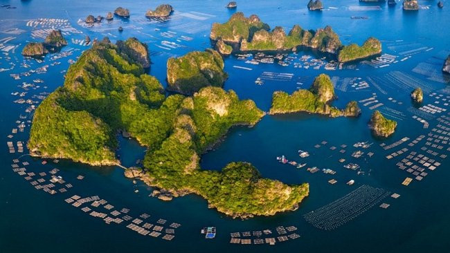 Thương cảng nào được xây dựng đầu tiên tại Việt Nam, có tuổi đời gần 1 thiên niên kỷ?