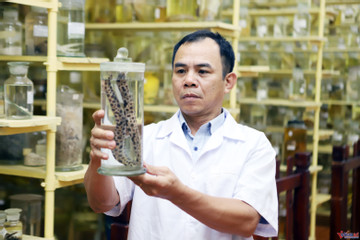 Kỳ công nghề thu mẫu vật, dựng tiêu bản ở Viện Hải dương học Nha Trang