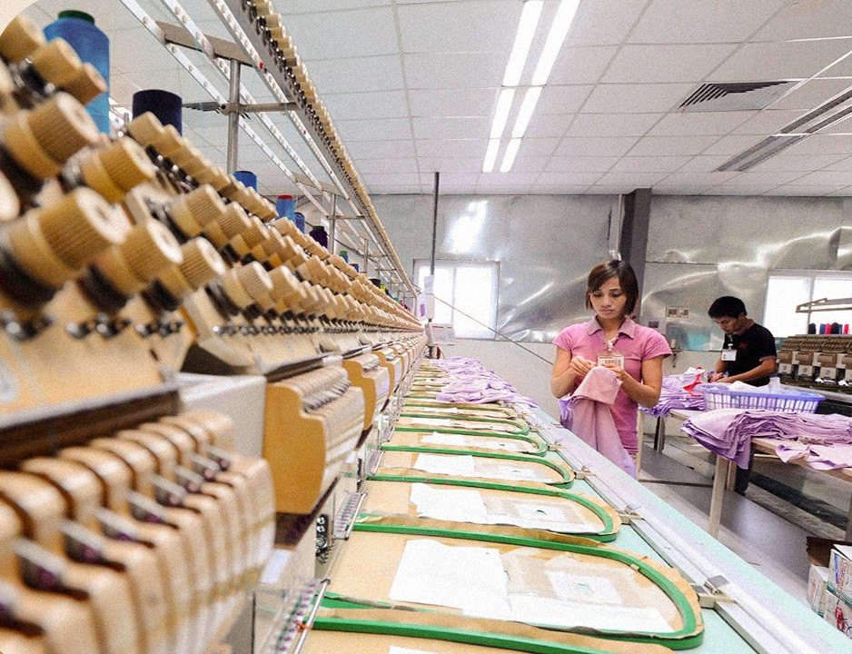 Vietnam Cannot Develop Without Large Private Businesses Experts