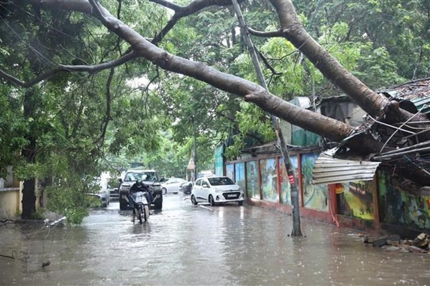 Fewer storms to hit Vietnam this year