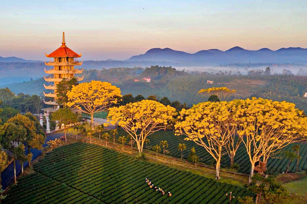 Tu viện Bát Nhã không gian mát lành, đẹp như chốn thần tiên gần Đà Lạt