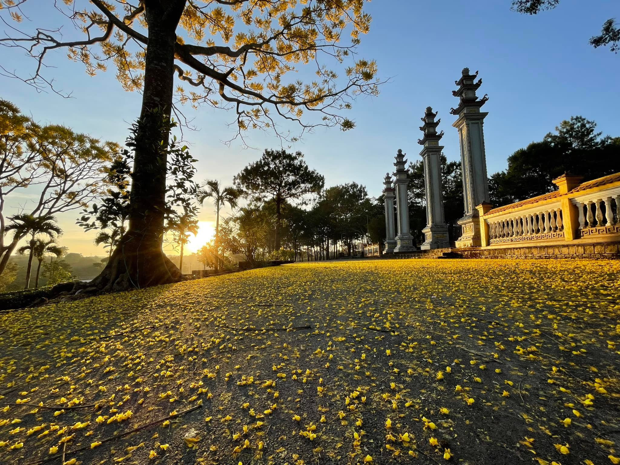 Không gian mát lành, đẹp như chốn thần tiên ở tu viện Bát Nhã gần Đà Lạt