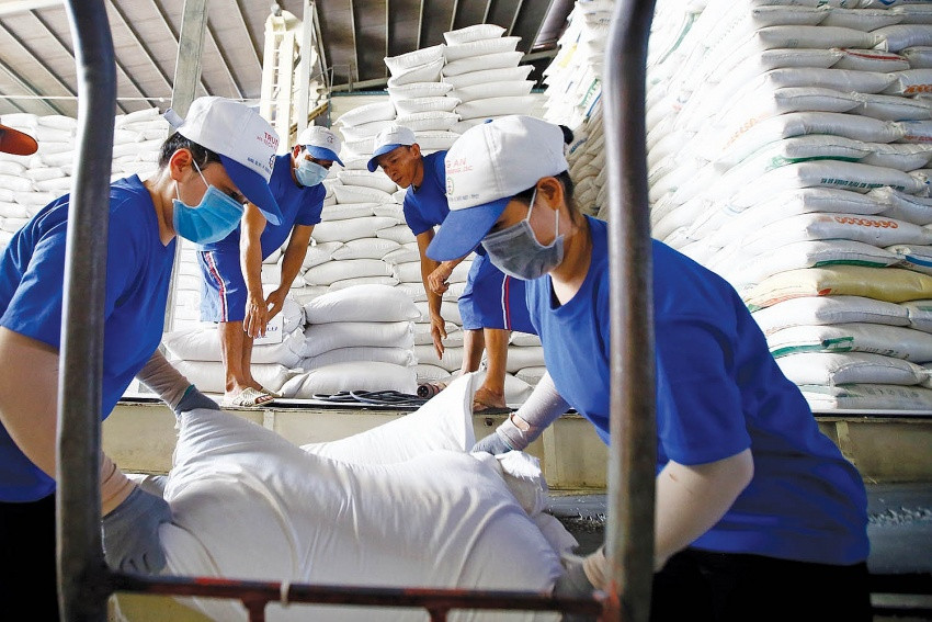 Vietnamese EU exports benefit from trade deal