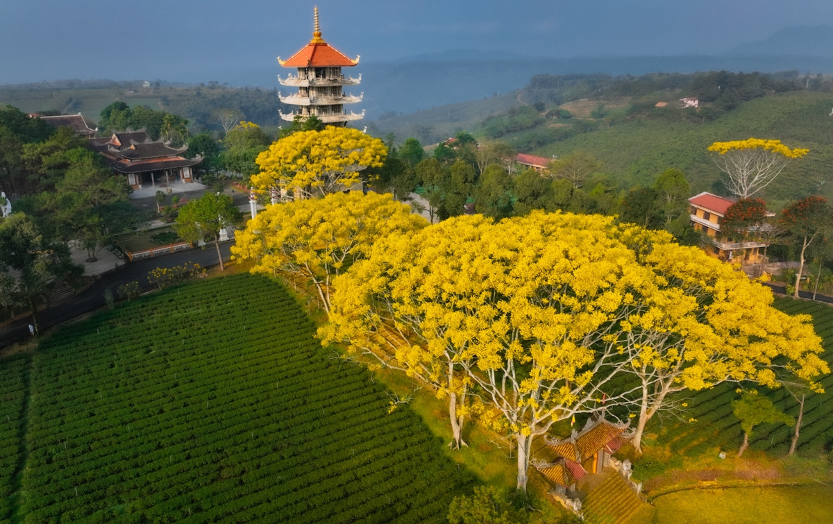 Không gian mát lành, đẹp như chốn thần tiên ở tu viện Bát Nhã gần Đà Lạt