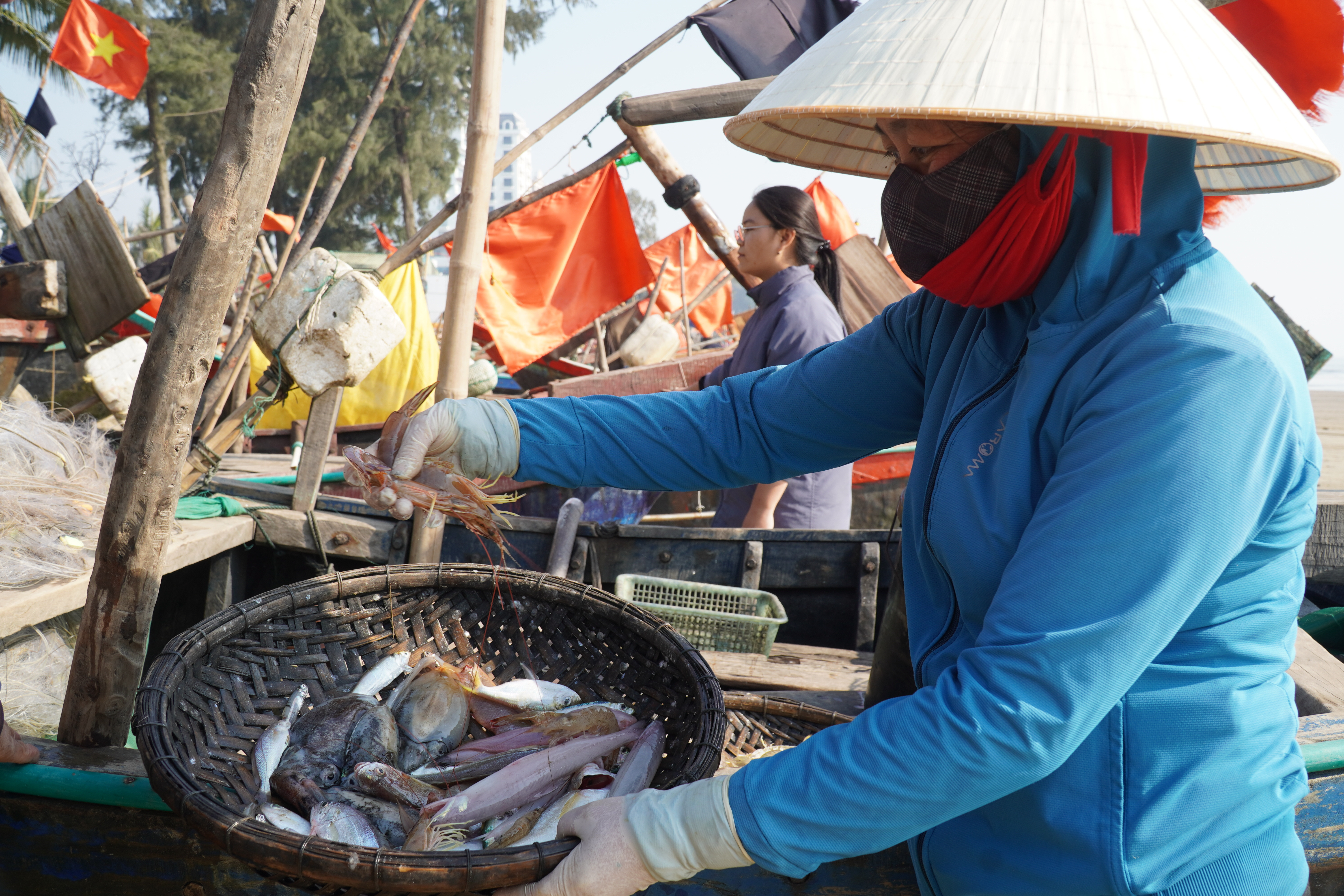 Hơn nửa triệu đồng một kg cá khoai, người dân tranh nhau mua