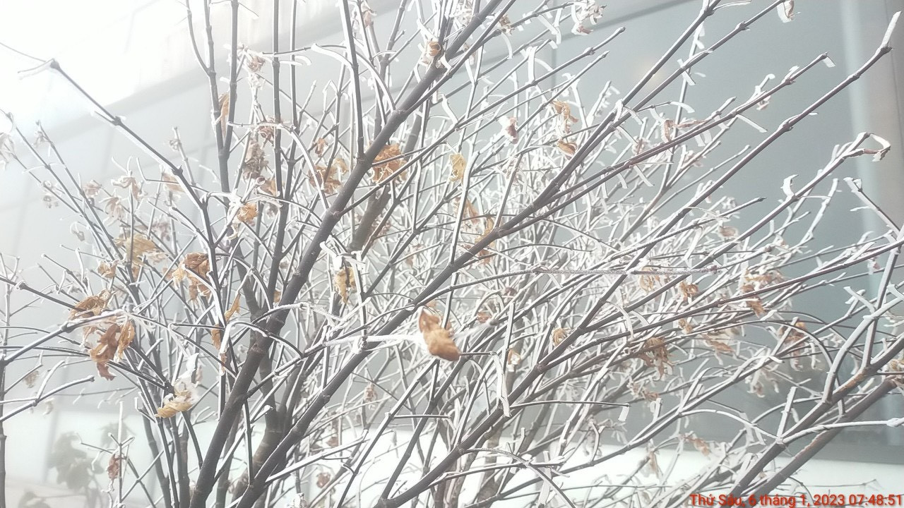 Dự báo thời tiết ngày 31/1: Bắc Bộ rét đậm rét hại, khả năng có băng giá