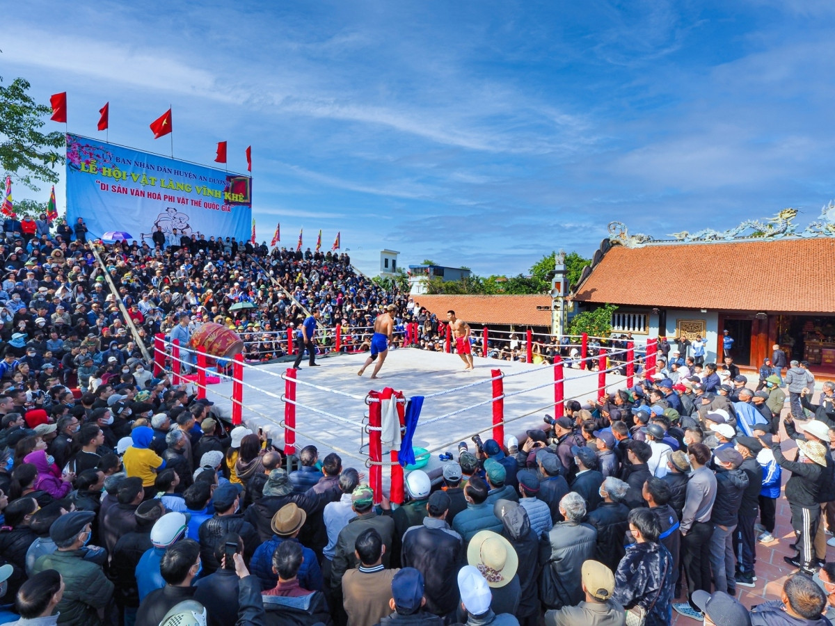 hai phong hosts 700-year-old wrestling festival picture 1