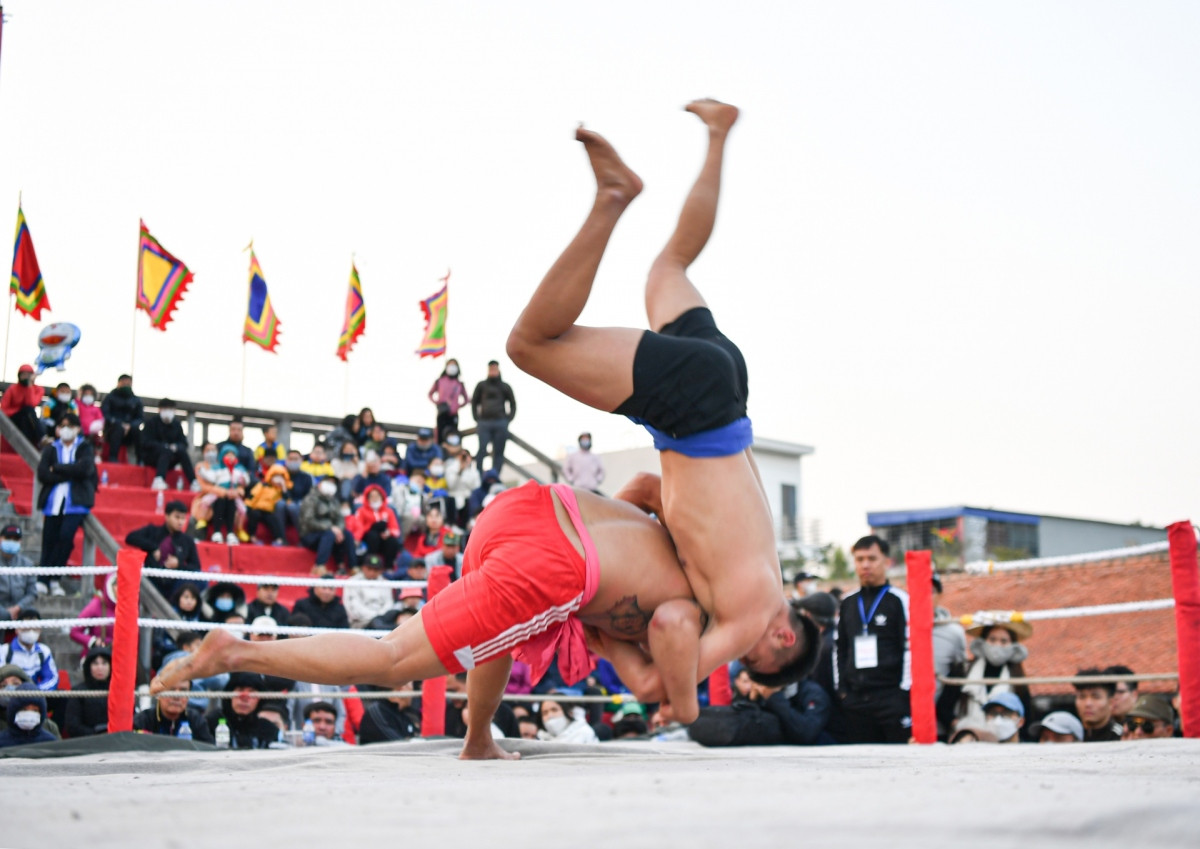 hai phong hosts 700-year-old wrestling festival picture 6