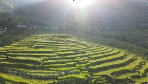 Pu Luong – a paradise amidst jungle for travellers on budget hinh anh 1