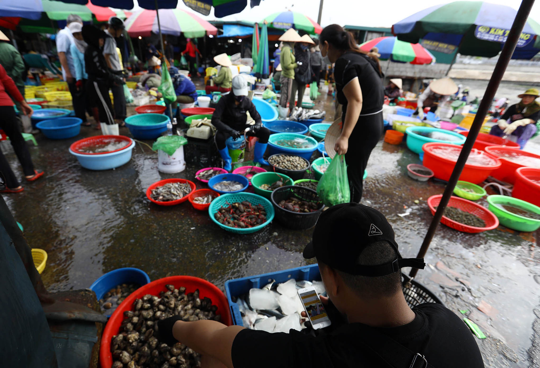 Chợ hải sản lớn nhất Cẩm Phả nằm ven bờ vinh Bái Tử Long