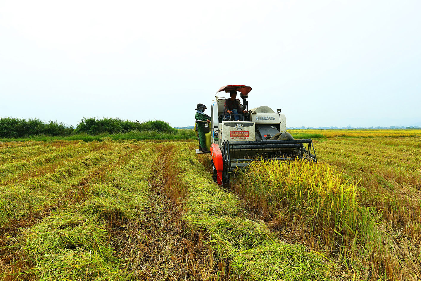 Vùng đất lịch sử Thanh Xương với diện mạo nông thôn mới