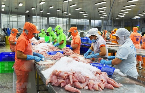 Seafood exports reach record 11 billion USD in 2022, challenges ahead