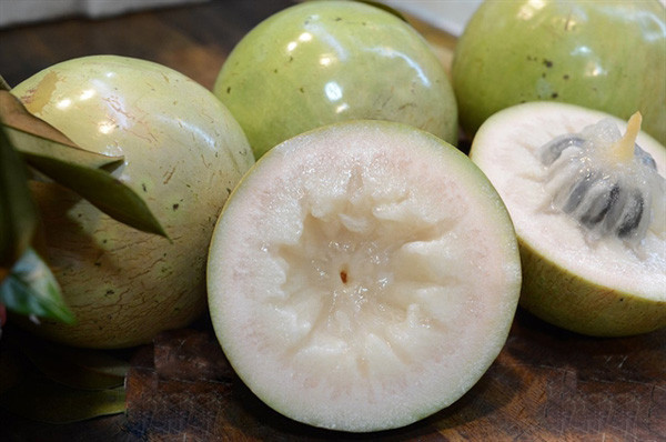 'Breast milk' fruit from Tien Giang known far and wide