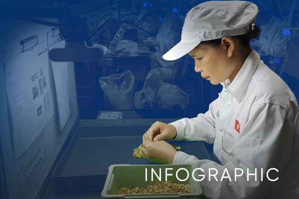 Infographic: Hà Nội tiên phong phát triển công nghiệp hỗ trợ