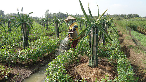 Đường mở rộng thênh thang, người dân thụ hưởng thành quả nông thôn mới