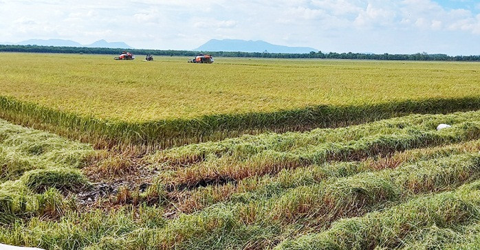 Thoại Giang: Địa phương kiểu mẫu triển khai nông thôn mới thông minh ở An Giang