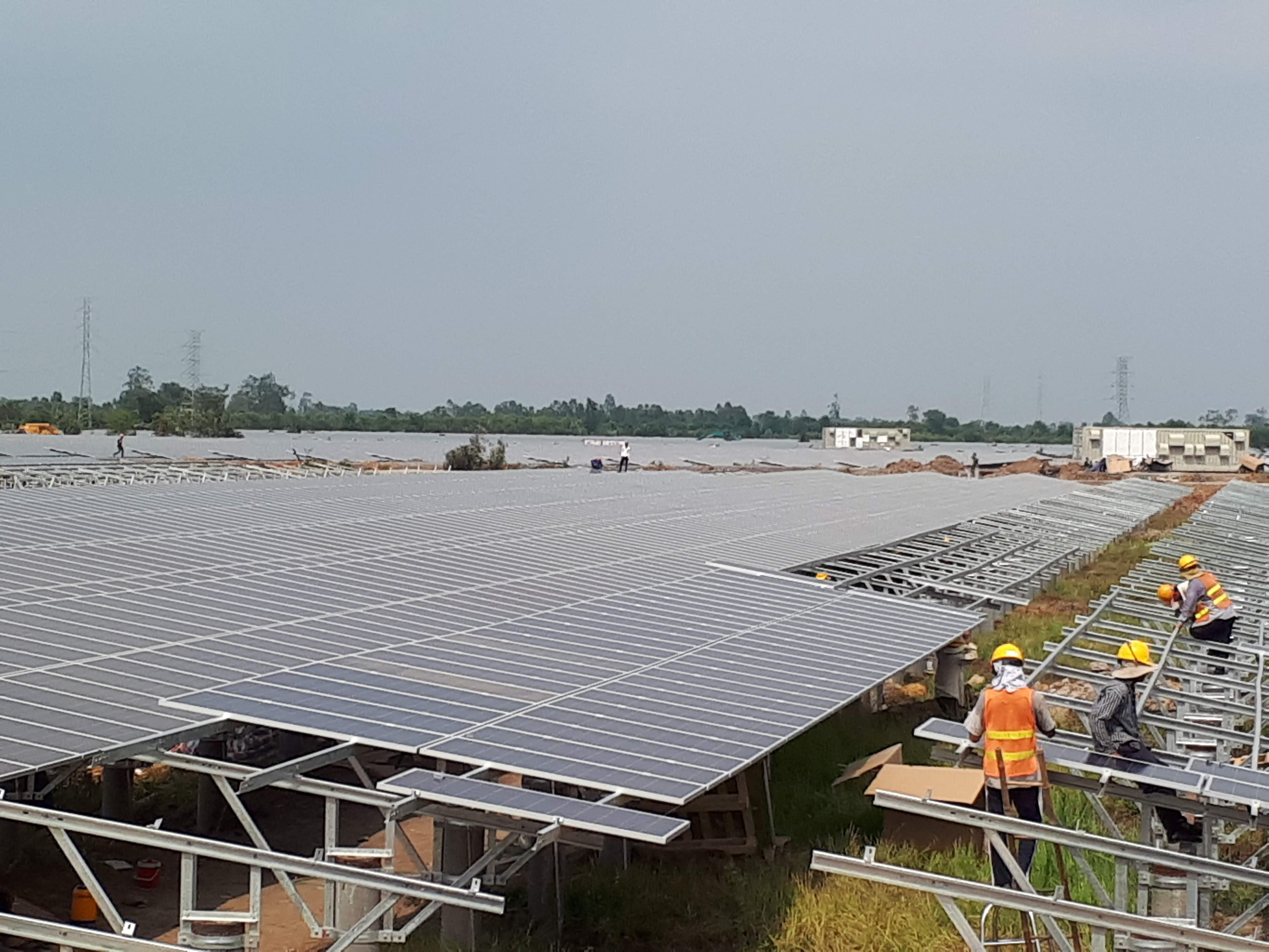 Ban hành khung giá mới cho dự án điện gió, điện mặt trời chuyển tiếp