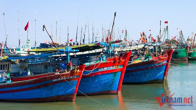 Bà Rịa - Vũng Tàu phạt 4 chủ tàu cá hơn 2,5 tỷ đồng