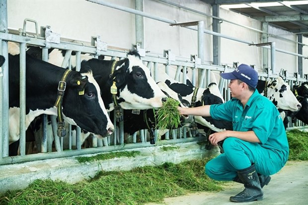 Livestock industry hopes difficulties will reduce in 2023 hinh anh 1