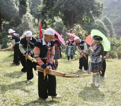 Yen Bai Province holds festival to honor ancient tea trees