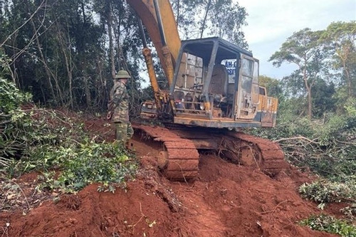Bắt quả tang đối tượng phá rừng ở Đắk Nông