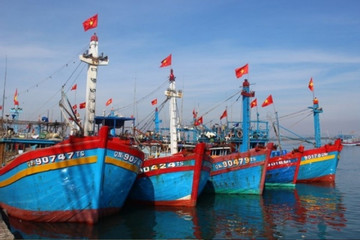 EC inspectors arrive in Vietnam to examine IUU fishing combat efforts