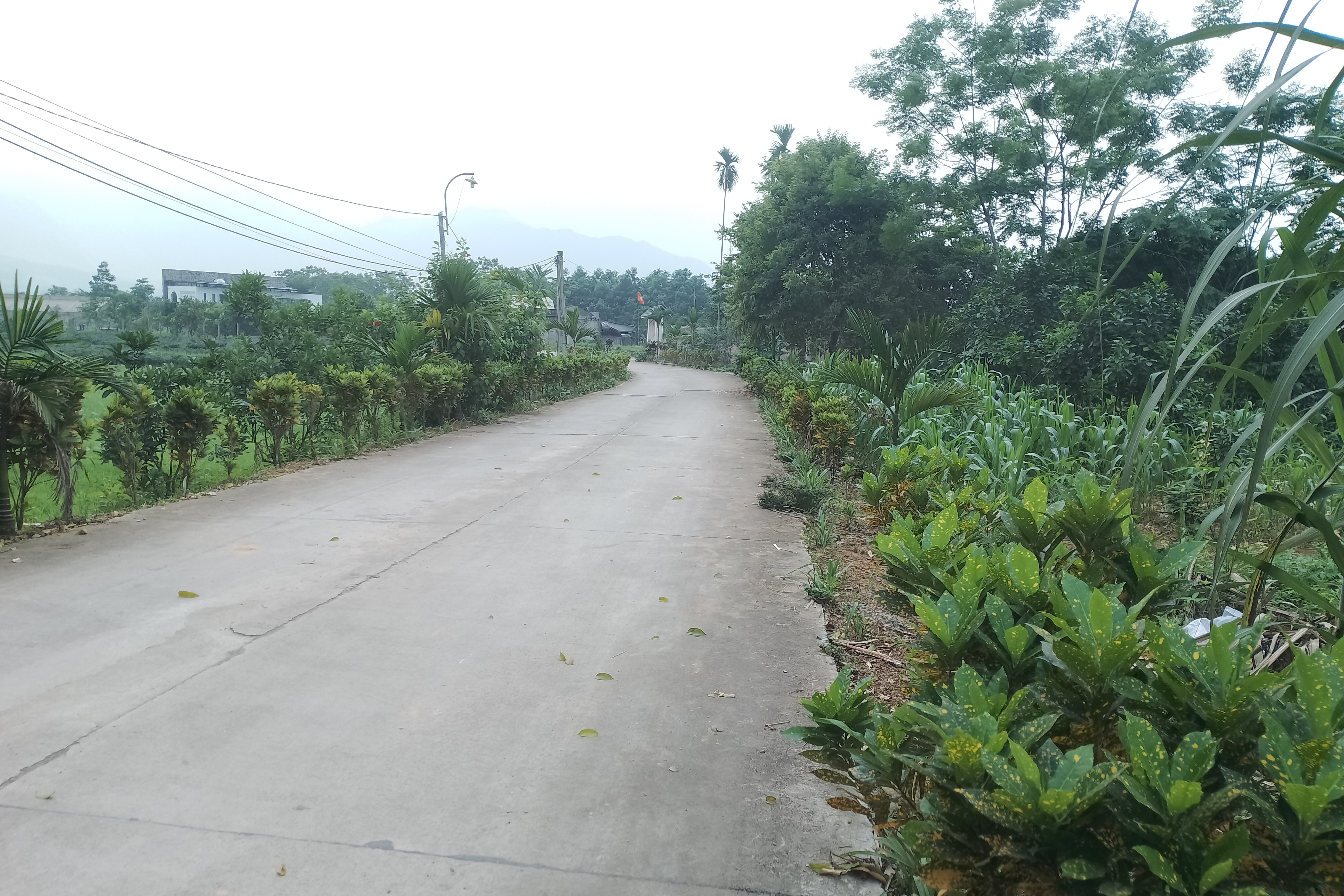 Tân Yên đẩy nhanh tiến trình xây dựng nông thôn mới nâng cao