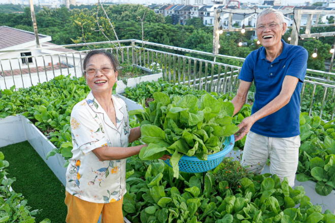 'Ruộng bậc thang' 300m2 trên mái căn biệt thự của vợ chồng U70 ở Hà Nội