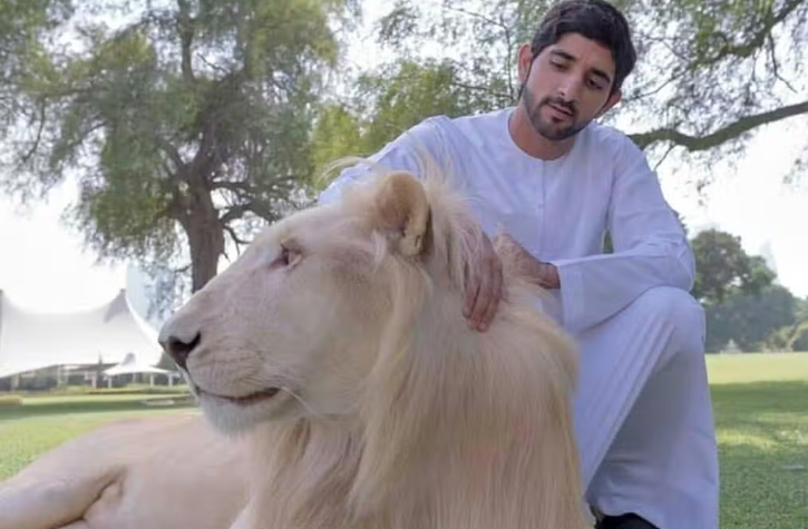Thái tử Dubai thích làm thơ, nuôi 'quái thú' và khối tài sản 400 triệu USD