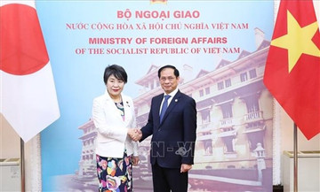 Vietnamese leaders receive Japanese Minister of Foreign Affairs