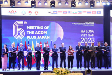 ASEAN họp thường niên về hợp tác quản lý thiên tai với 3 quốc gia