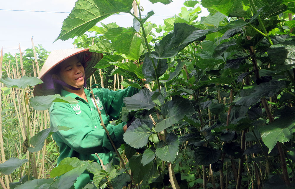 Lâm Hà tặng phương tiện sinh kế cho bà con vùng đồng bào dân tộc thiểu số