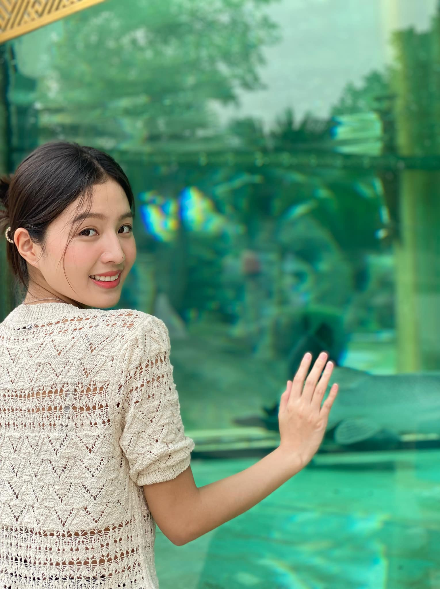 335416510 155841850317195 1612153329169602315 n.jpg