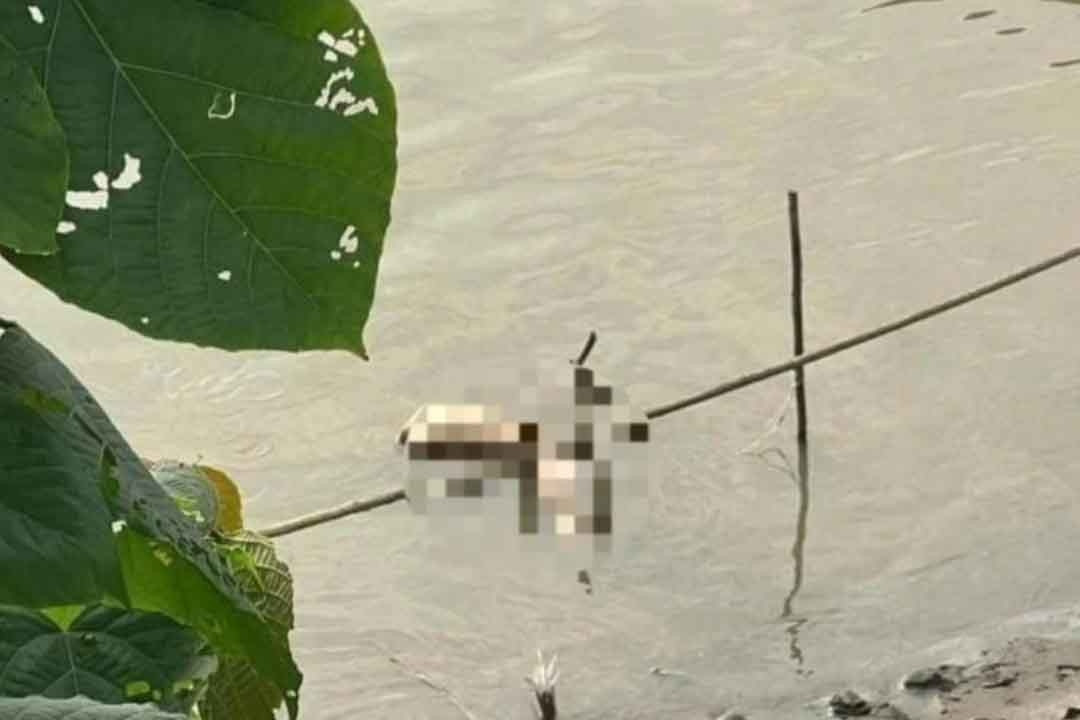 Công an Hà Nội tìm tung tích cô gái bị phân thành nhiều mảnh ở sông Hồng