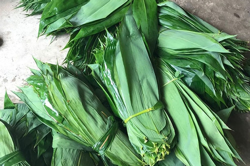 Loại lá bỏ đi rụng đầy ở Việt Nam, sang nước ngoài giá đắt đỏ