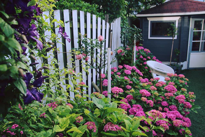 Mẹ chồng trách móc 'ăn bám thì đừng đòi hỏi'