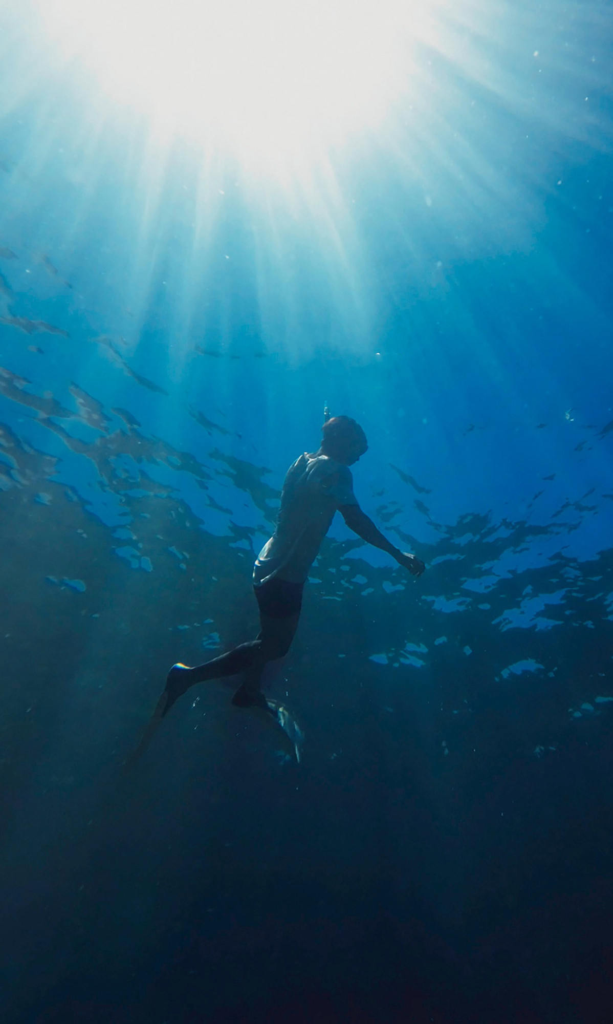 355373201 990702615660948 5670663606554762510 n 1688626024.jpg