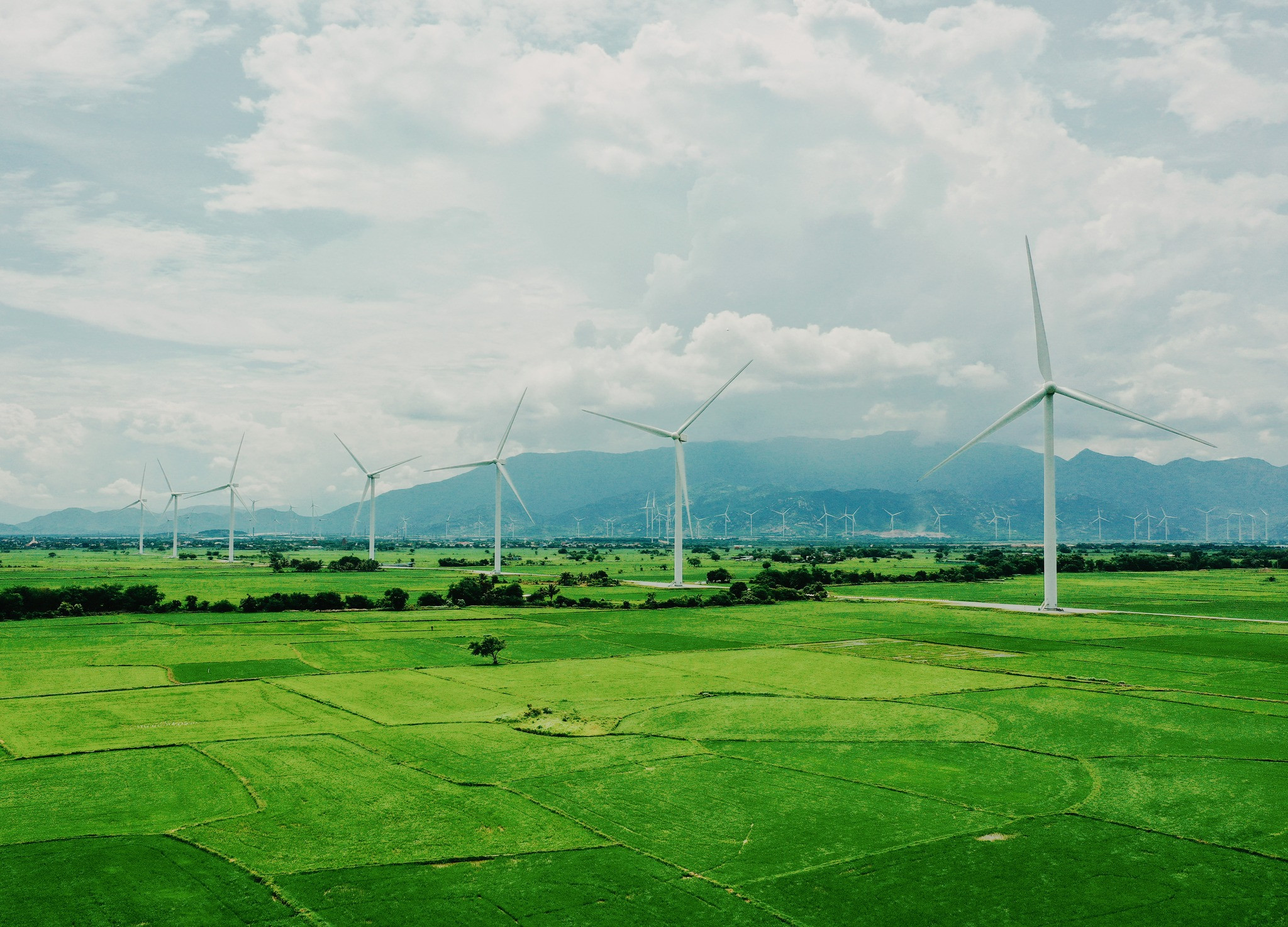 384127451 3675938062628878 7480387269649150184 n.jpg