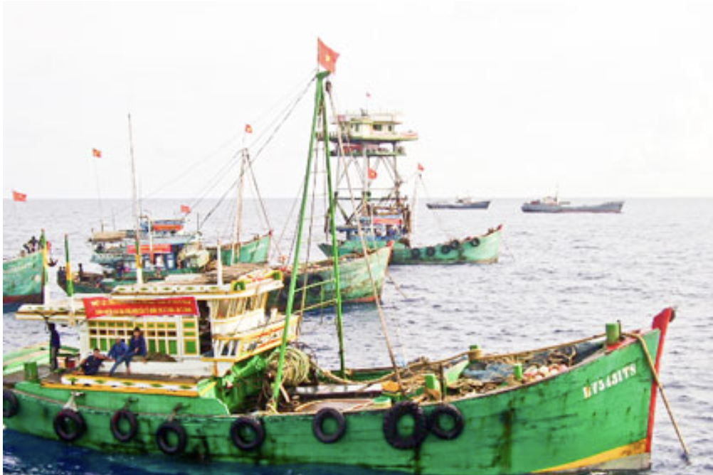 Bà Rịa-Vũng Tàu tập trung thực hiện hiệu quả công tác chống khai thác IUU