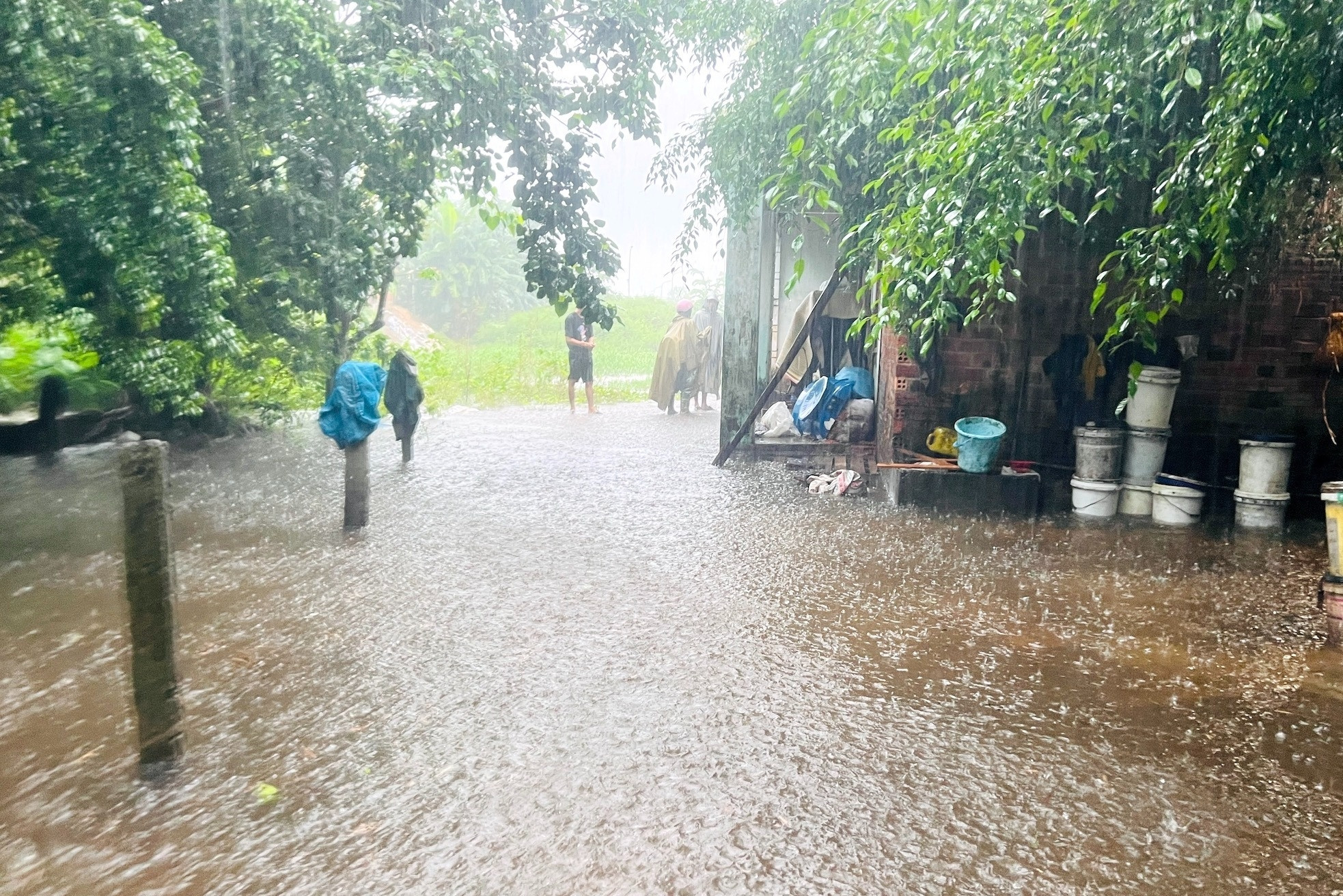 Ngày mai, Đà Nẵng cho học sinh nghỉ học đề phòng mưa lớn