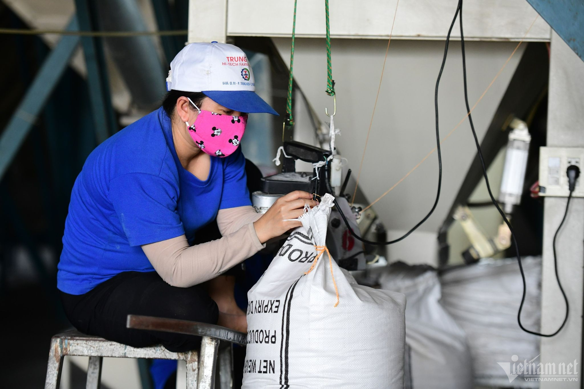 Indonesia becomes VN’s largest rice buyer, ministry optimistic about exports