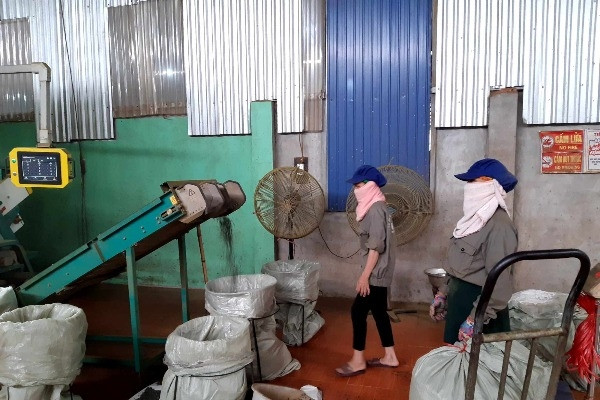 Đẩy mạnh tuyên truyền chính sách pháp luật về các loại bảo hiểm tại doanh nghiệp