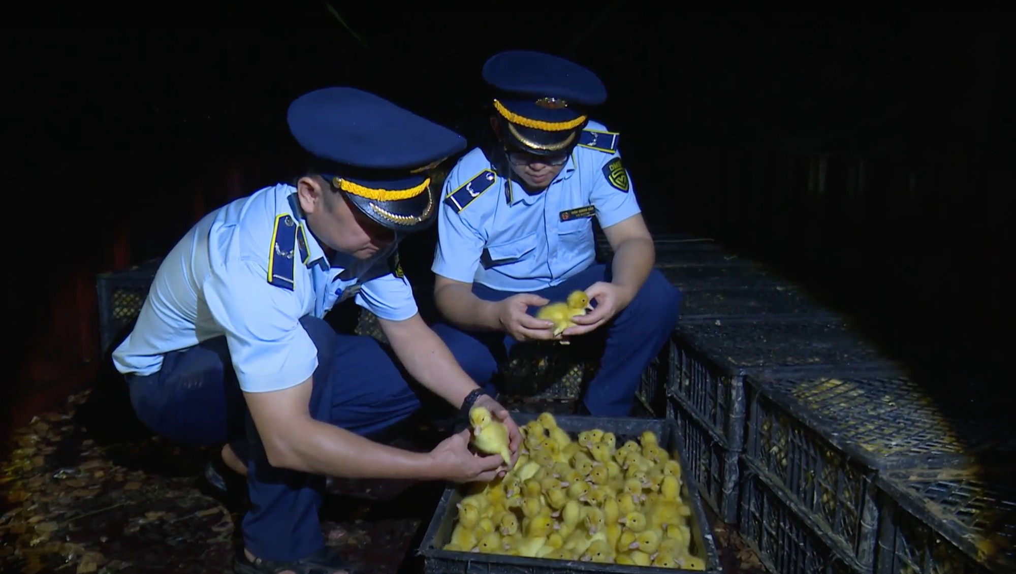 gia cam nhap lau .jpg