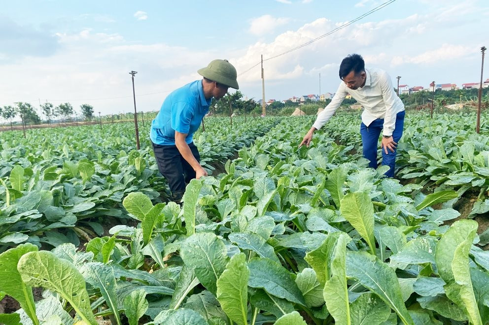 Hình thành chuỗi sản xuất, kinh doanh thực phẩm sạch ở vùng dân tộc thiểu số