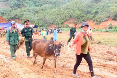 Hỗ trợ bò giống, cây giống cho bà con biên giới tỉnh Quảng Nam